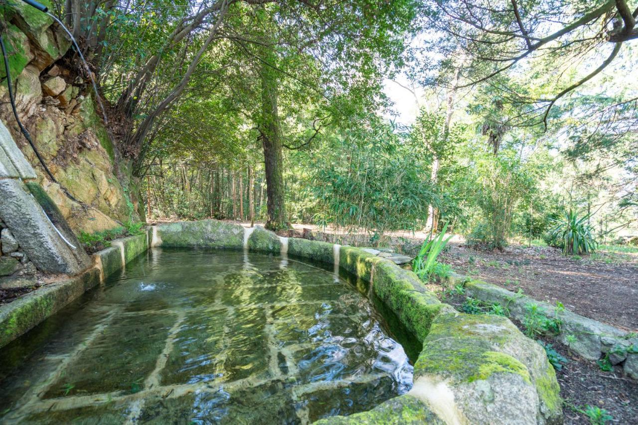 Quinta Das Lamas - Oak Tree House โวเซลา ภายนอก รูปภาพ