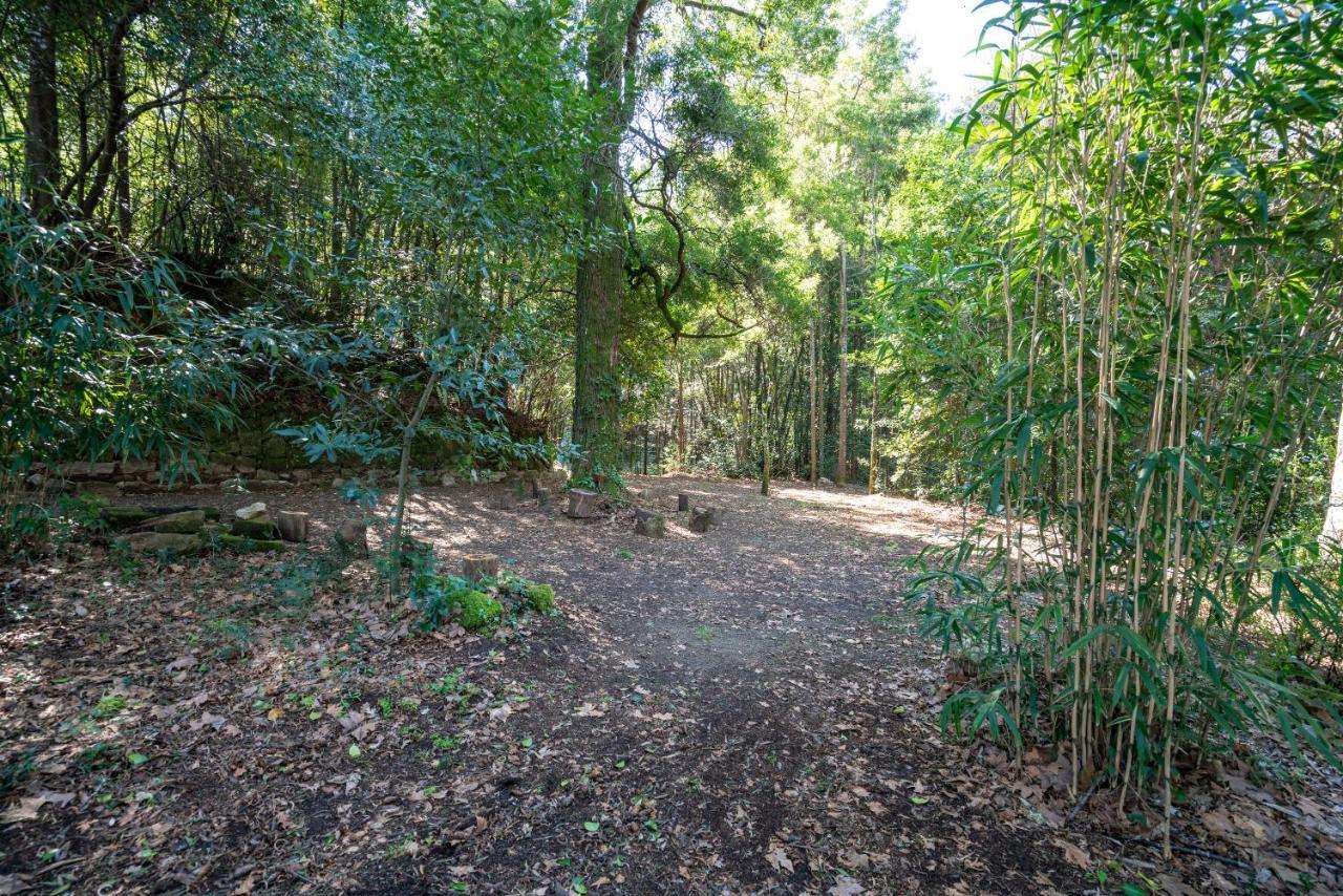 Quinta Das Lamas - Oak Tree House โวเซลา ภายนอก รูปภาพ