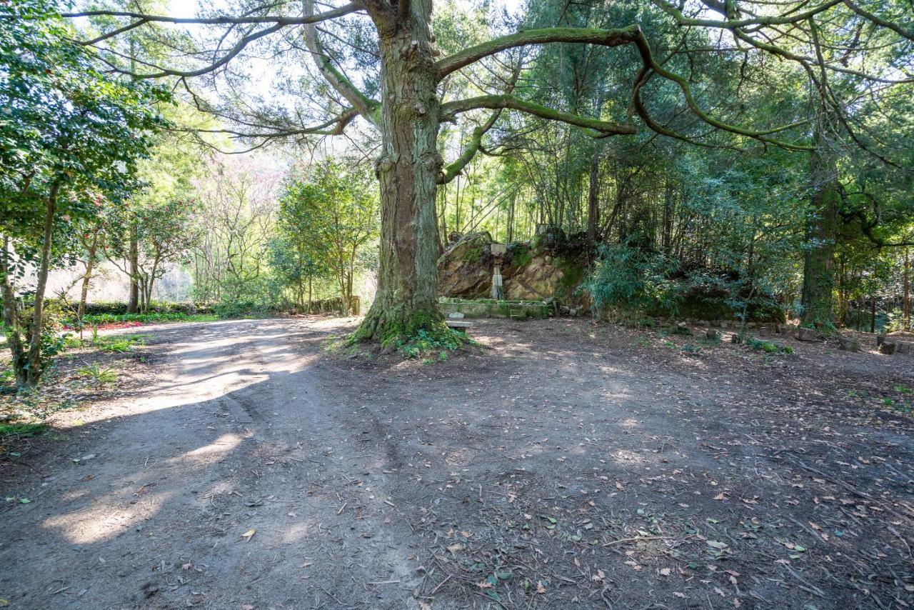 Quinta Das Lamas - Oak Tree House โวเซลา ภายนอก รูปภาพ