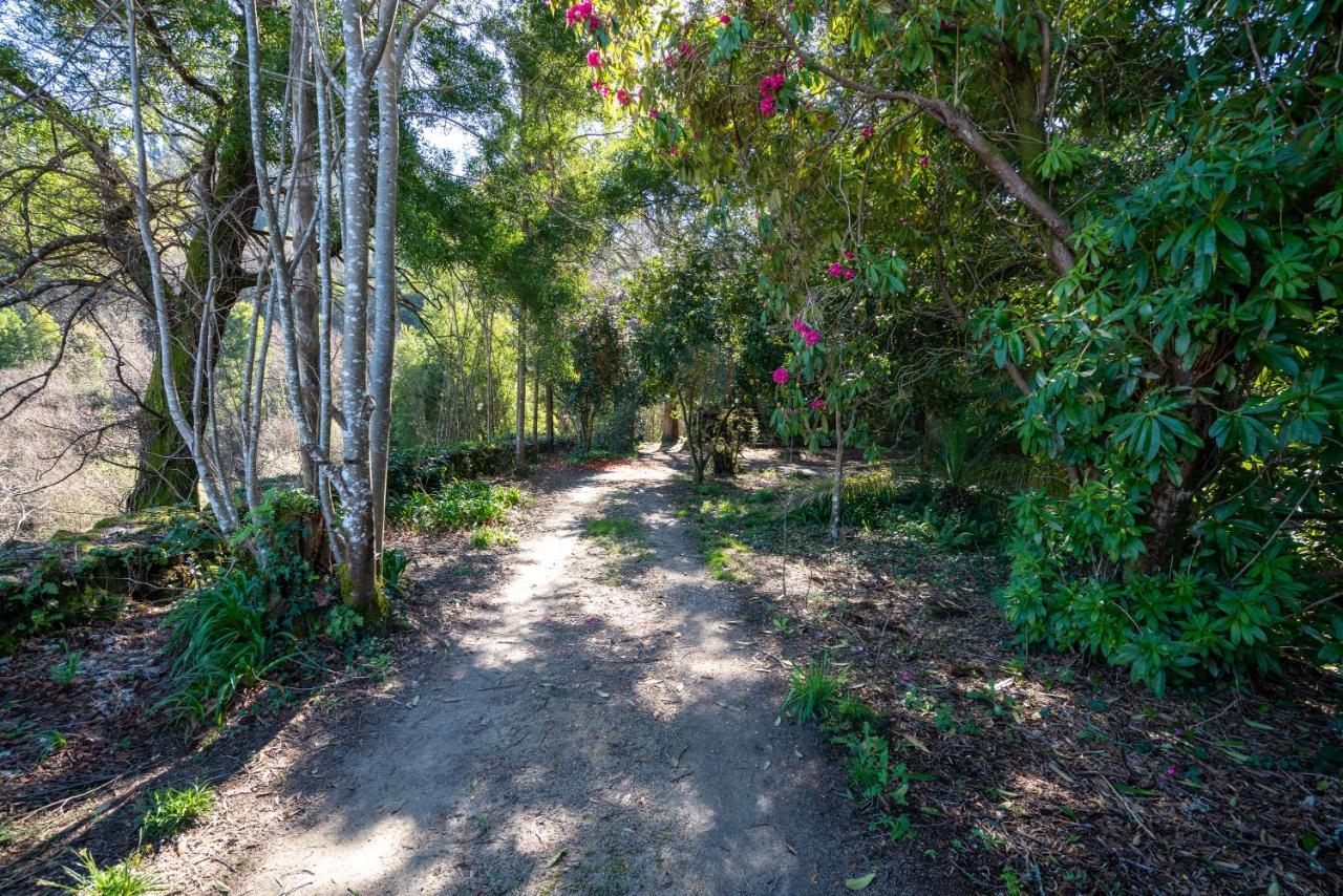 Quinta Das Lamas - Oak Tree House โวเซลา ภายนอก รูปภาพ